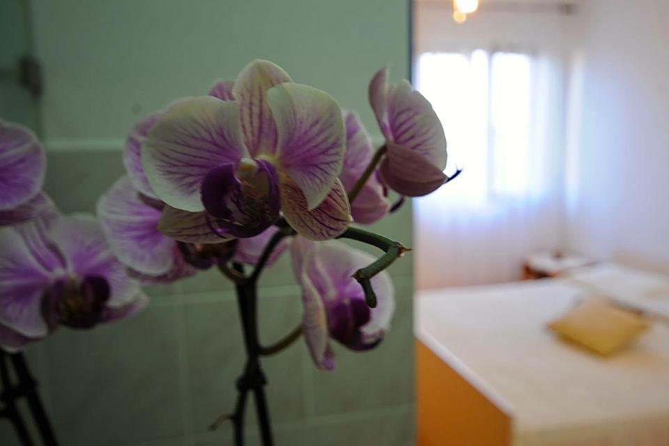 Apartments Marija Бибине Стая снимка